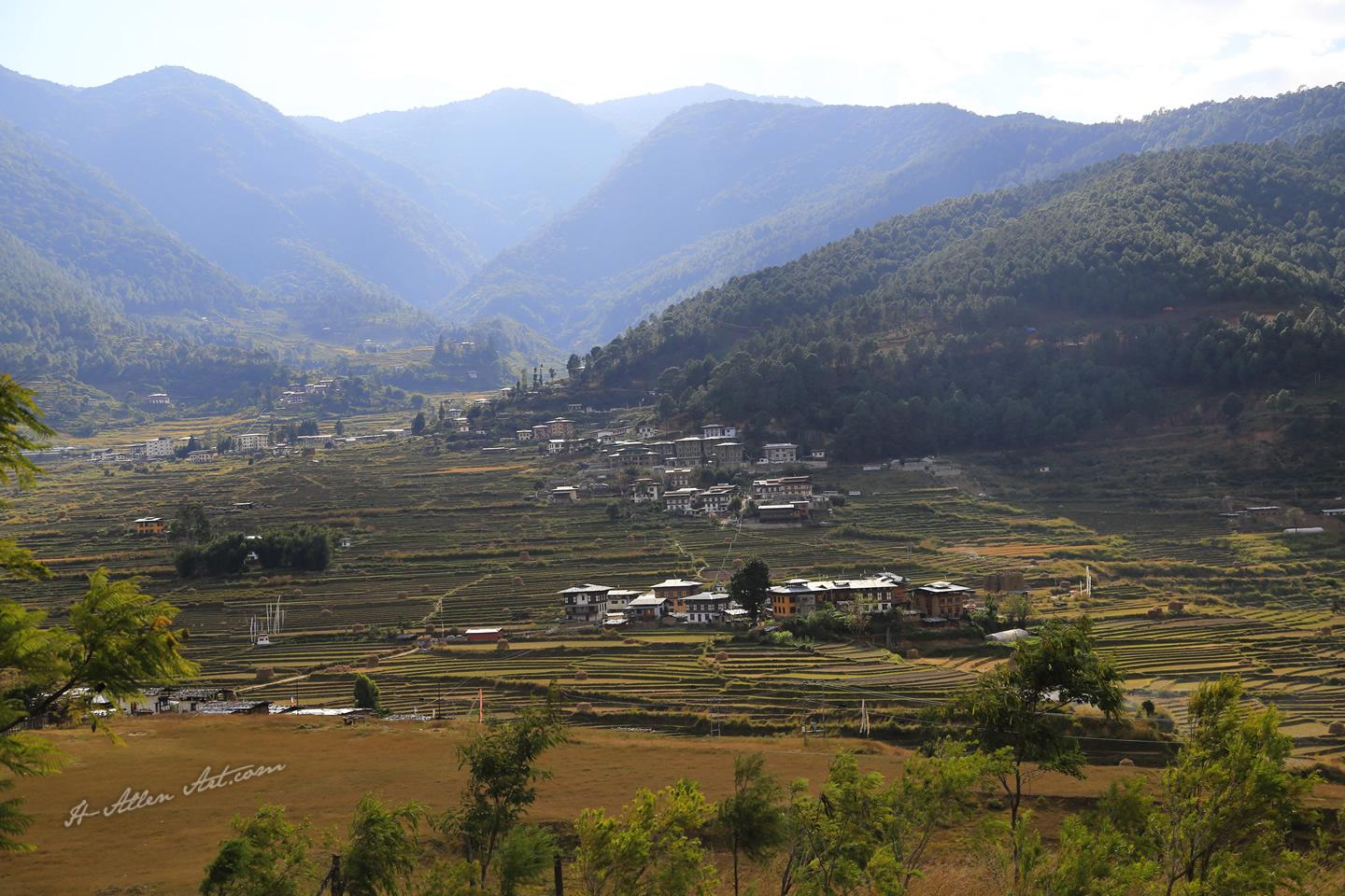 Ta Dzong Rice Fields, Paro, Bhutan Ta Dzong Rice Fields, Paro, Bhutan